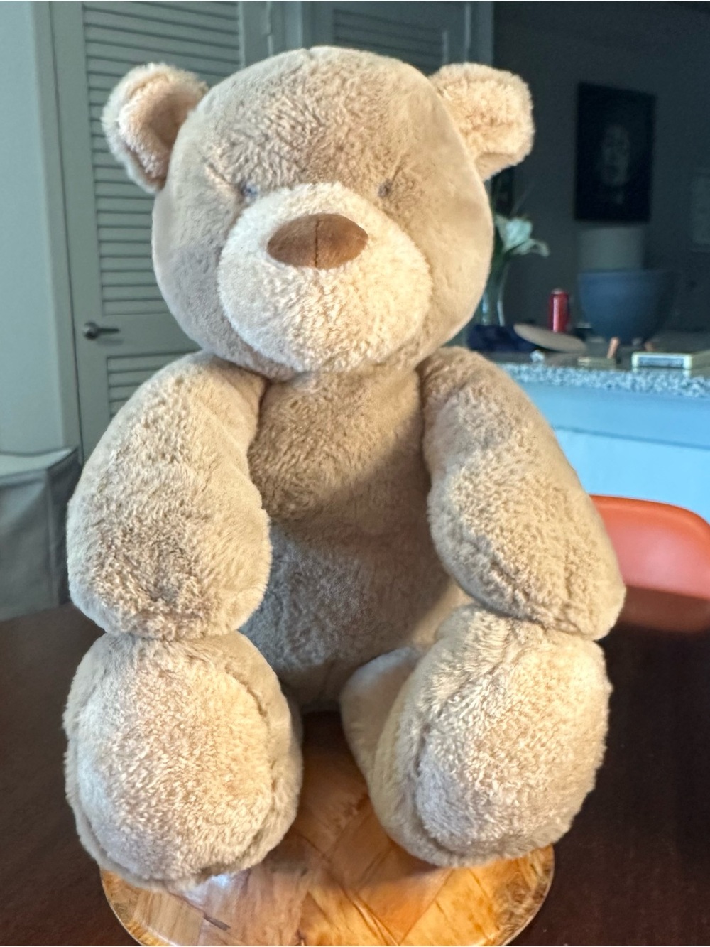 Beautiful Brown Mudpie Teddy Bear Soft Cuddly Stuffed Animal plush Toy READ